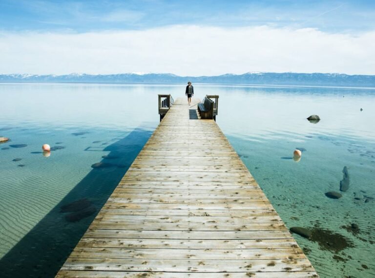 Where to Buy Rhoback: There's a Few Places